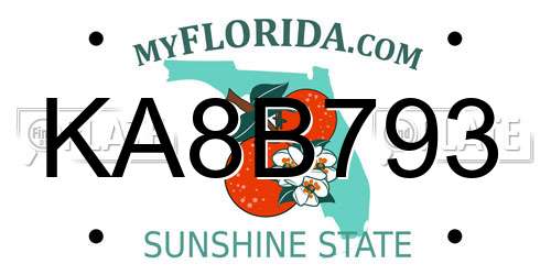 KA8B793 Florida License Plate