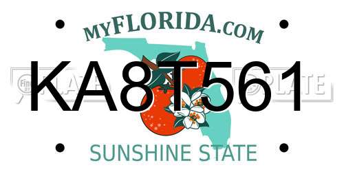 KA8T561 Florida License Plate