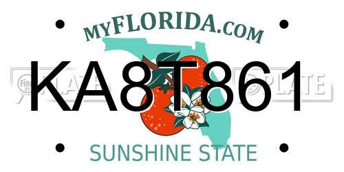 KA8T861 Florida License Plate
