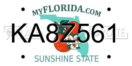 KA8Z561 Florida License Plate