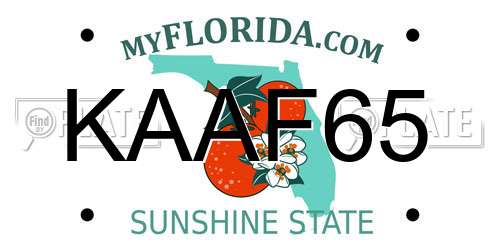 KAAF65 Florida License Plate