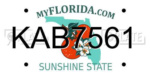 KAB7561 Florida License Plate