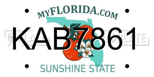KAB7861 Florida License Plate