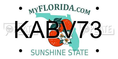 KABV73 Florida License Plate