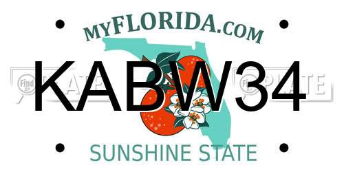 KABW34 Florida License Plate