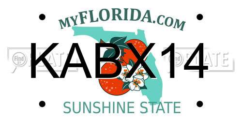KABX14 Florida License Plate