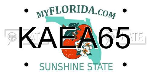 KAEA65 Florida License Plate