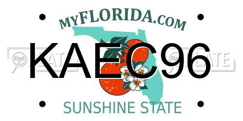 KAEC96 Florida License Plate
