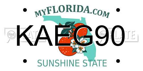 KAEG90 Florida License Plate