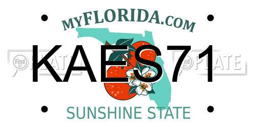 KAES71 Florida License Plate