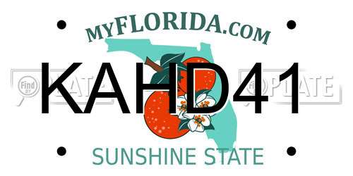 KAHD41 Florida License Plate