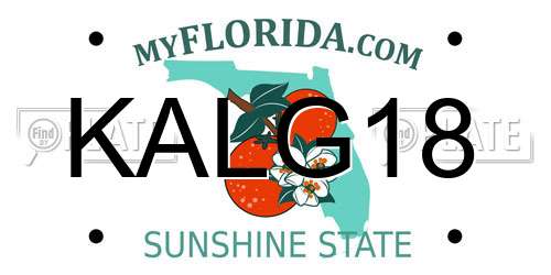 KALG18 Florida License Plate