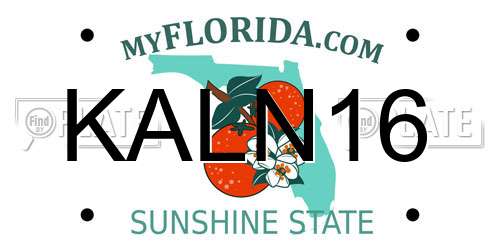 KALN16 Florida License Plate