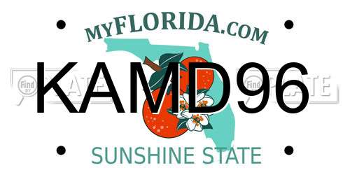 KAMD96 Florida License Plate