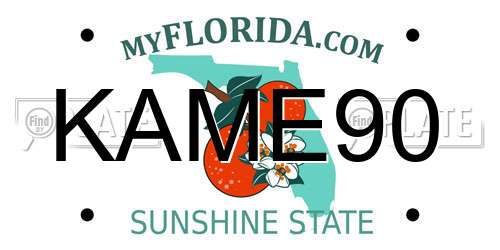 KAME90 Florida License Plate