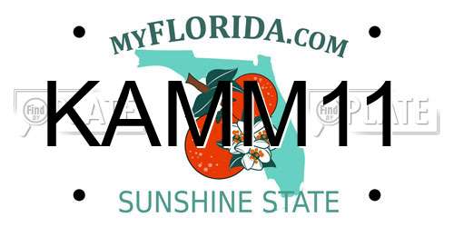 KAMM11 Florida License Plate