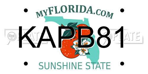KAPB81 Florida License Plate