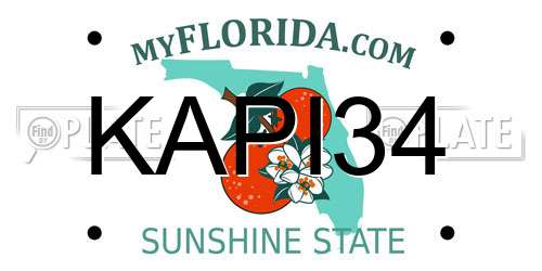 KAPI34 Florida License Plate