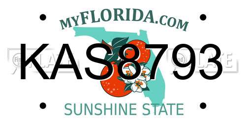 KAS8793 Florida License Plate