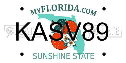 KASV89 Florida License Plate