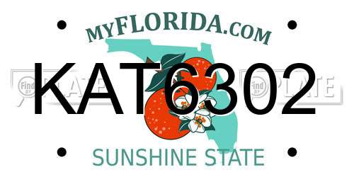 KAT6302 Florida License Plate