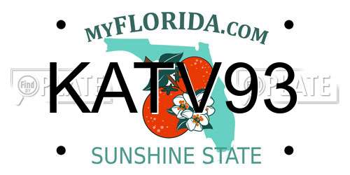 KATV93 Florida License Plate