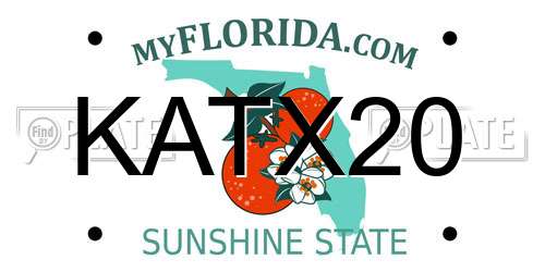 KATX20 Florida License Plate