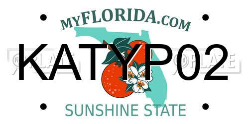KATYP02 Florida License Plate