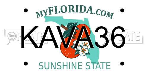 KAVA36 Florida License Plate