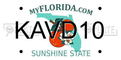 KAVD10 Florida License Plate