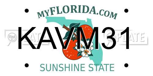 KAVM31 Florida License Plate