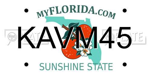 KAVM45 Florida License Plate