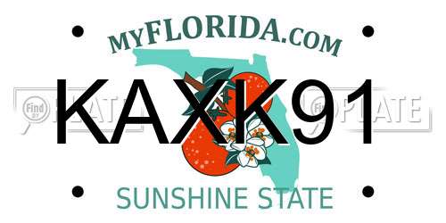 KAXK91 Florida License Plate