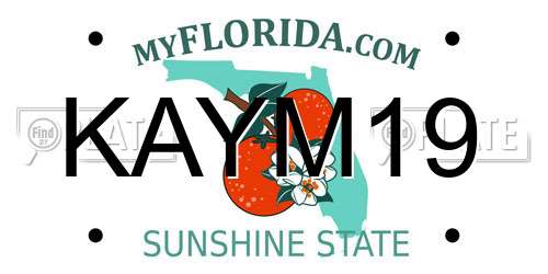 KAYM19 Florida License Plate