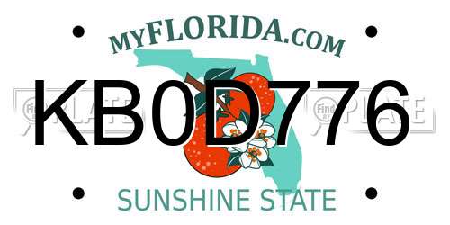 KB0D776 Florida License Plate
