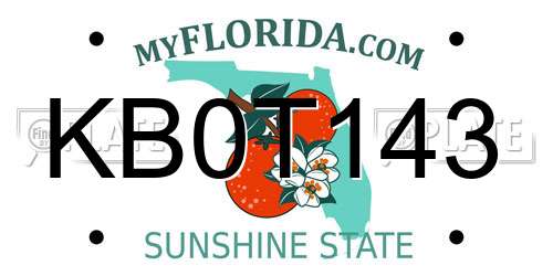 KB0T143 Florida License Plate