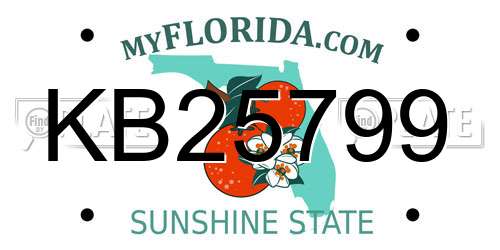 KB25799 Florida License Plate