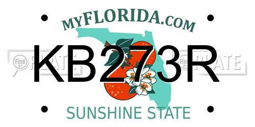 KB273R Florida License Plate