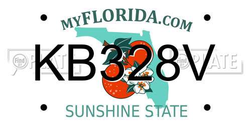 KB328V Florida License Plate