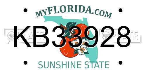 KB33928 Florida License Plate