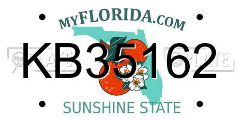 KB35162 Florida License Plate