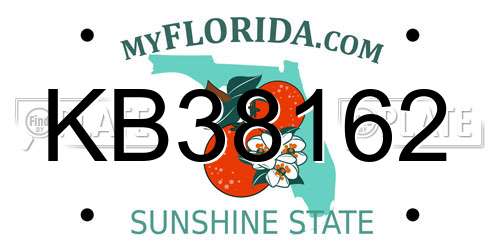 KB38162 Florida License Plate