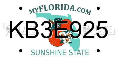 KB3E925 Florida License Plate
