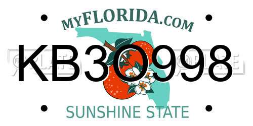 KB3O998 Florida License Plate