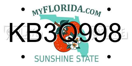 KB3Q998 Florida License Plate
