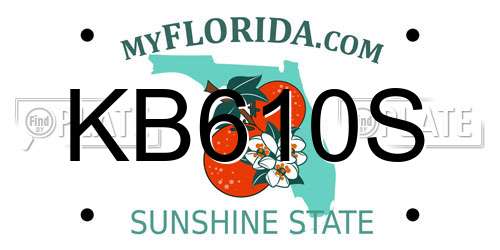 KB610S Florida License Plate