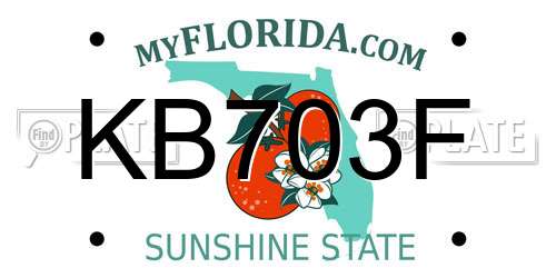 KB703F Florida License Plate