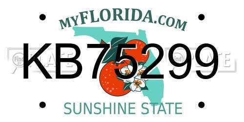KB75299 Florida License Plate