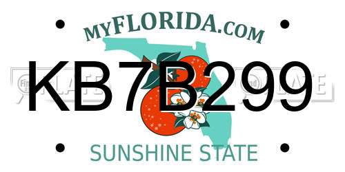 KB7B299 Florida License Plate