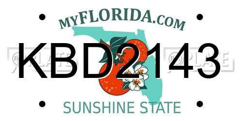 KBD2143 Florida License Plate
